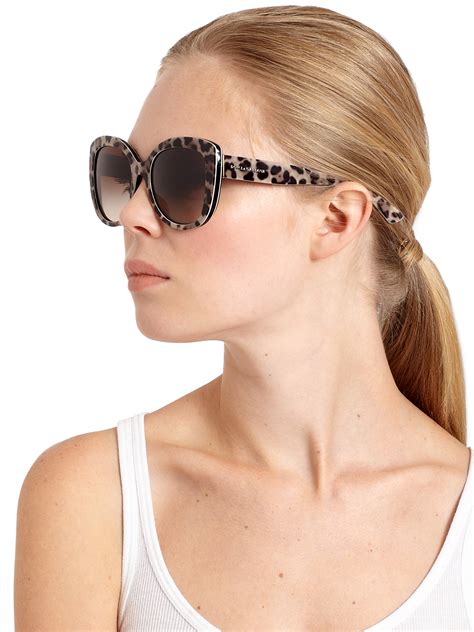 dolce gabbana sunglasses leopard